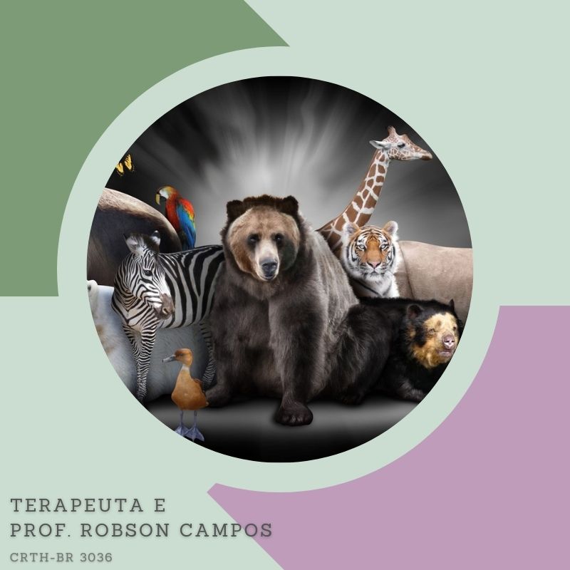 Xamanismo| Animais Totêmicos e de Poder