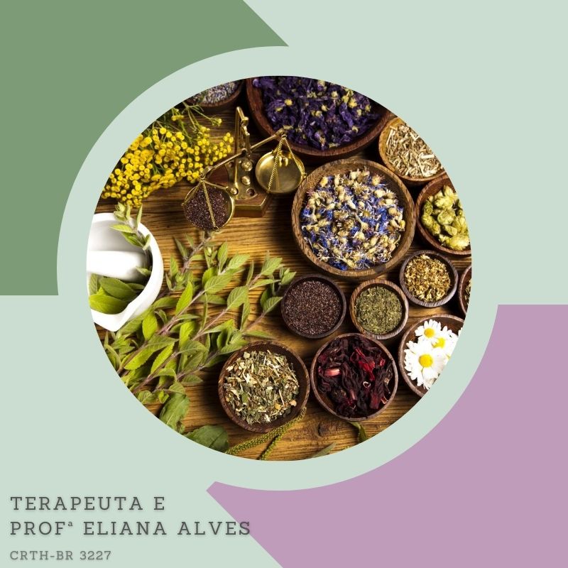 Terapia herbal e a bioenergética das plantas