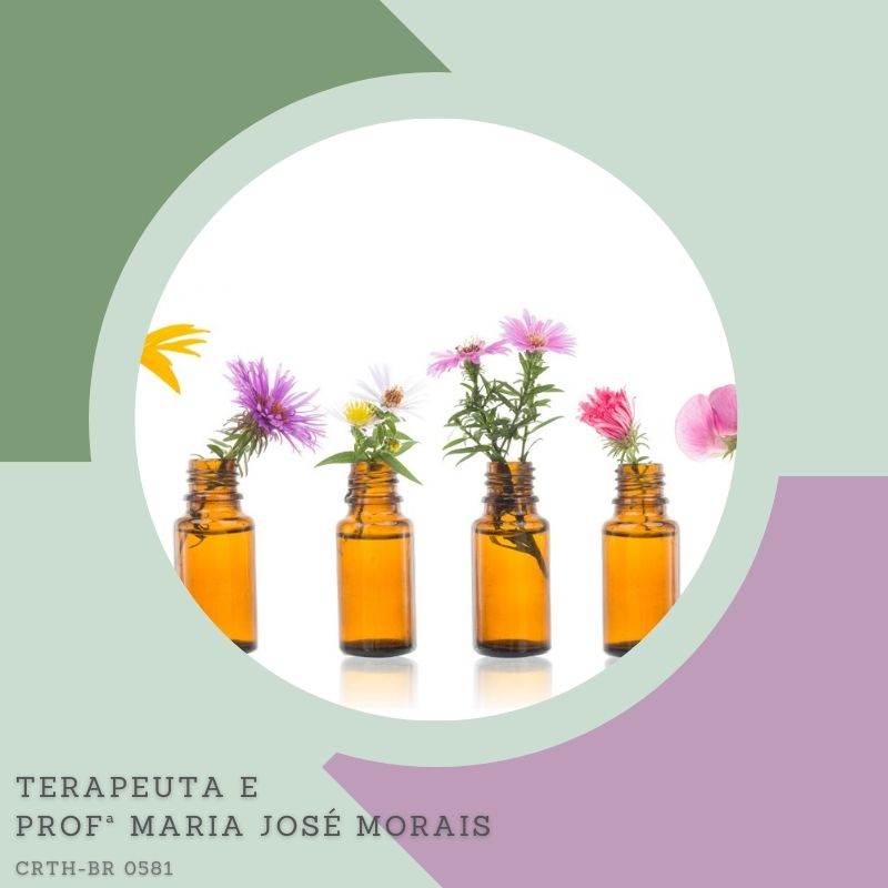 Florais da Consciência | Uso Humano e Veterinário