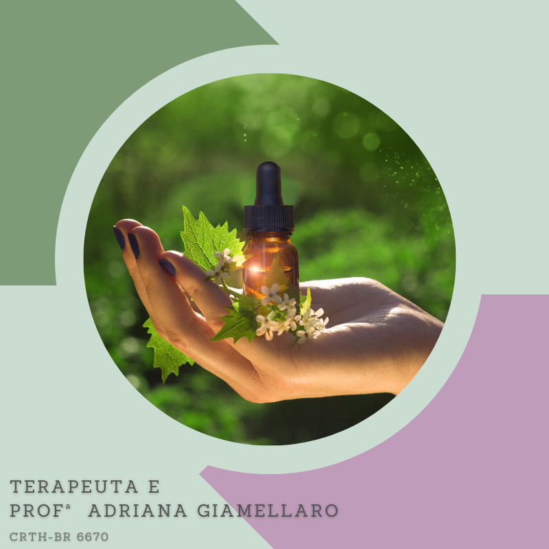 Florais de Bach-A Energia das Flores