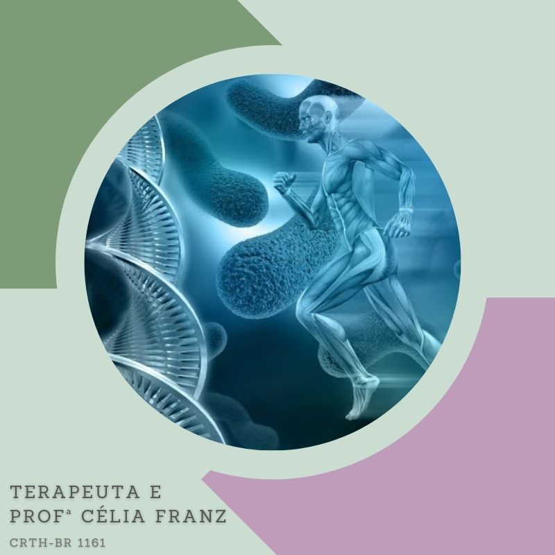  Psicoterapeuta Integrativo Reichiano & Bioenergético /Formação